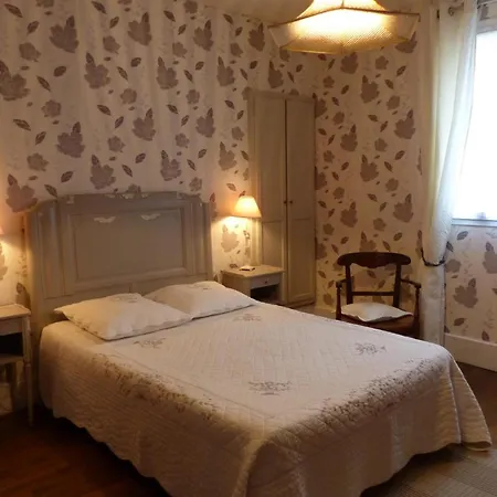 A Avec Cheminee Et Jardin Clos - Fr-1-489-11 Saint-Ennemond